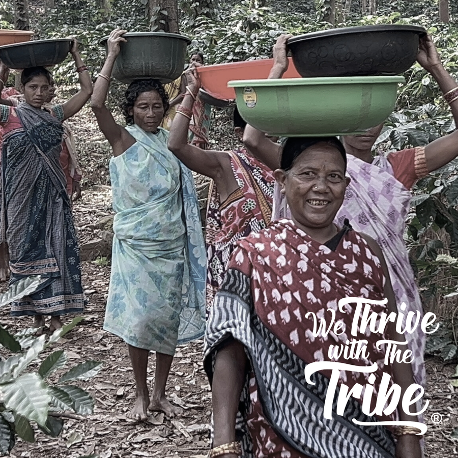 We Thrive With The Tribe, Coffee Beans From Farms 